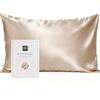 RUIPTSKE Natural Silk Federa, ipoallergenico, 22momme, 100% Seta, 600 Filati, con a Scomparsa Cerniera (Light Champagne, 50x80cm)
