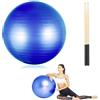 Generic Set per batteria cardio, palla per equilibrio fitness con pompa e bacchette da 90,7 g, palla aerobica per allenamento, stabilità, pilates, yoga, ginnastica in gravidanza