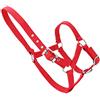 SIXRUN Cavezza per Cavallo Regolabile Ad Alta densità con Durata e Controllo per Accessori da Equitazione Colore Rosso Design Ispessito da 6 Mm