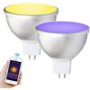 BENEXMART Gu5.3 Lampadina LED MR16 12 V WiFi Alexa Google Home Assistant IFTTT Tuya Smart Life APP Telecomando RGB LED Light Dimmer Lampada (confezione da 2)