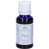 SARANDREA MARCO &C. Srl EXTRAGEM FICO GEMME 20ML