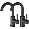 ZYNUHMO rubinetto da bagno,Rubinetto da bagno/cucina,girevole a 360°, miscelatore monocomando,Rubinetto in acciaio inox nero Due pezzi