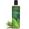 Desert Essence Tea Tree Replenishing Shampoo