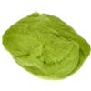 EFCO - Lana per infeltrire, 50 g, Colore: Verde Chiaro