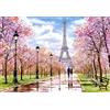 Castorland CSC104369 - Puzzle, vari