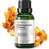 AMYRON Olio Essenziale Incenso AMYRON 30 ml | Franchincenso | Naturale E Puro Al 100% Ideale Per Aromaterapia E Uso Terapeutico | Diffusore Oli Essenziali | Massaggi aromatici | Uso Alimentare Senza OGM.