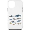 Funny Shark Ocean Predator Marine Sea Mo Custodia per iPhone 12 mini Shark Expert Ocean Predators Vita marina Amante degli squali