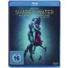 Twentieth Century Fox Shape of Water - Das Flüstern des Wassers