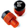 HHOOHO Vite Per Ready To Race Duke 390 690 790 890 1190 RC 1290 Adventure Tappi Per Fori Specchietti Retrovisori Per Moto(Ready to Race-2)