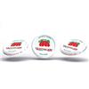 BOTTIGLIERI CASALINGHI Capsule per barattoli di vetro CF 100 pezzi 82 mm Decoro Pomodoro 1 scelta extra forte modello pesante