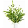 XIZHI 6 rami di albero da 45 cm, foglie di bambù artificiali, in finta seta, verde, per hotel, fattoria, feste all'aperto, decorazione per interni e per la casa
