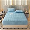 Generic Coprimaterasso con Cerniera Matrimoniale 90/120/140/160/180x200 Cm ，Materassi Matrimoniali/Singoli, Protezioni per Materassi, Topper Lavabile Rivestimento(Blue A,160x200x20cm)