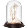 PH PandaHall 11x13 cm Cupola in Vetro con Base in Legno Campana di Vetro Trasparente Decorativa per La Conservazione dei Fiori Decorazione per Feste in Casa