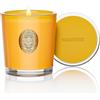 M&SENSE Candele Profumate alla Soia 290g Mango Muschio | Bruciatura Lunga 55 Ore | Vetro Non Tossico | Aromaterapia Rilassante | Regalo di Lusso per Compleanno/Festa della Mamma
