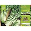 Orto Mio Piantine di Ortaggi in pack cubettato per la produzione famigliare disponibili in molte tipologie e varietà (Cicoria Catalogna gigante Katrina 9 piante)