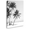 deyoli Palme tropicali Formato: 80 x 60 Effetto: nero/bianco come tela, motivo già incorniciato su telaio in vero legno, stampa digitale di alta qualità con cornice, senza poster o manifesto
