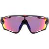Oakley Occhiali da Sole Oakley JawBreaker OO9290 929020
