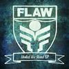 Flaw United We Stand (CD)