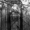 Demersus ad Nihilum //180703// (CD) Album Digipak
