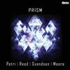 Petri/Reed/Svendsen/Moore Prism (CD) Album