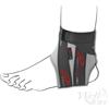C Ankle Tenortho - Cavigliera