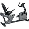BRX R3000 Toorx Vertical Line - Recumbent Bike