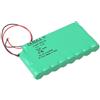 Pacco Batteria G3000 Globus - Accessori Elettrostimolatori