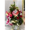 PERAGA GARDEN 1 PIANTA DI DIPLADENIA TRE COLORI VASO 20CM RAMPICANTE COLORATA