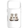 Timowo Studio Custodia per iPhone 17 Pro Lontre Amiche Illustrazione