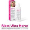Nbf Lanes Ribes Horse Ultra Emulsione 250 ml