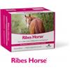 NBF Lanes Ribes Horse 30 Buste Da 25 ml