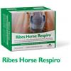 NBF Lanes Ribes Horse Respiro 30 Buste Da 25 ml