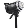 Godox Flash da studio con luce di modellazione a LED MS200 V"