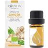 Essences Bulgaria Olio Essenziale di Zenzero Biologico 5ml