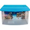 Aimé Aime Acquario- Plastica per acquaristica - 1 unità [Colori Assortiti]
