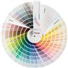 MAXMEYER Mazzetta Coloremotion