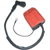 Generico CDI per motocicletta Bobina di accensione per piaggio Ciao Euro1 Ciao Euro2 Ciao Mix 50cc per OEM 2441275