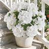 Kisflower Ortensia artificiale, ortensia artificiale, bouquet di fiori di seta con steli, per tavolo, vaso, centrotavola, festa di nozze, decorazione per esterni (bianco, 1 pezzo)