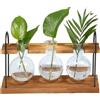 Dexpally Vaso Idroponica Stazione Di Propagazione Piante Vaso per Piante in Vetro con Supporto In Legno per Decorativi Casa, Ufficio e Patio