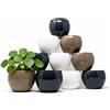 QILZO Coprivaso per Piante da Interno ed Esterno 11 Cm Set da 12 | Vasi Decorativi Interno Moderni in Plastica Resistenti UV | Vasi Piccoli per Piante Grasse, Cactus e Altre Piccole Piante