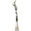 Bamboopack Vaso in vetro soffiato fatto a mano, piccolo vaso di vetro a stelo singolo, vaso per fiori e boccioli per ufficio, decorazione per la casa (trasparente)