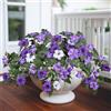 SEBOVIM Fiori artificiali per esterni, 2 pezzi, fiori finti primaverili in finta seta per esterni, resistenti ai raggi UV, fiori finti per casa, giardino, balcone, cortile, portico, decorativo, viola
