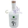 GreekHerbay Olio extravergine di oliva greco varietà Koroneiki 500 ml ceramica spremuta a...