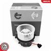 'ESEN SKV' ESEN SKV 68SKV035 Motore ventilatore interno compatibile con PEUGEOT 407 SW (6E), 407 (6D), 407 Coupé (6C), 407 SW Furgone / Station Wagon (6E) e CITROËN