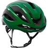 Kask Casco bici Kask Elemento Beetle green CHE00101448