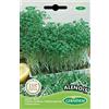 Germisem Alenois Semi di Crescione da Giardino 12 g