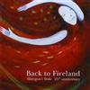 Morrigan'S Wake Back To Fireland (CD)