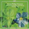 Georg Philipp Tele Georg Philipp Telemann: III Trietti Metodichi E III Sch (CD)