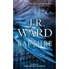 J.R. Ward Rapture (Tascabile) Fallen Angels