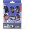 Kikkerland Magneti Sedere di Gatto, Set di 6